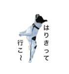 小夏 Part2（個別スタンプ：4）