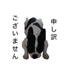 小夏 Part2（個別スタンプ：6）
