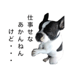 小夏 Part2（個別スタンプ：12）