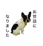 小夏 Part2（個別スタンプ：16）