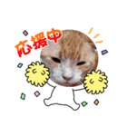 てんてんこりん（個別スタンプ：5）