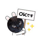 てんてんこりん（個別スタンプ：6）