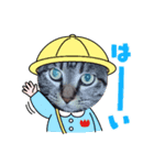 てんてんこりん（個別スタンプ：7）