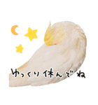 オカメインコのふくちゃんスタンプ3（個別スタンプ：32）