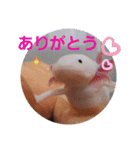 ウーパーと一緒（個別スタンプ：4）