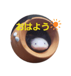 ウーパーと一緒（個別スタンプ：7）