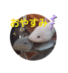 ウーパーと一緒（個別スタンプ：10）