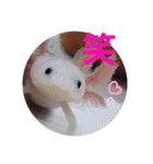 ウーパーと一緒（個別スタンプ：14）