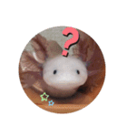 ウーパーと一緒（個別スタンプ：15）