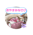 大迫モモ（個別スタンプ：2）