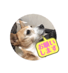 大迫モモ（個別スタンプ：5）