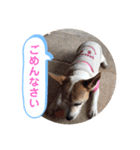 大迫モモ（個別スタンプ：8）