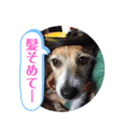 大迫モモ（個別スタンプ：10）