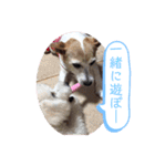 大迫モモ（個別スタンプ：18）