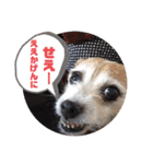 大迫モモ（個別スタンプ：22）