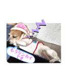 大迫モモ（個別スタンプ：24）