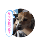 大迫モモ（個別スタンプ：26）