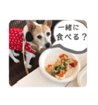 大迫モモ（個別スタンプ：30）