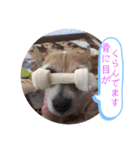 大迫モモ（個別スタンプ：31）