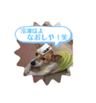 大迫モモ（個別スタンプ：32）