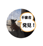 大迫モモ（個別スタンプ：34）