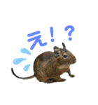 niu＆ulu+愉快な仲間たち（個別スタンプ：1）