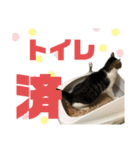 niu＆ulu+愉快な仲間たち（個別スタンプ：8）