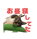 niu＆ulu+愉快な仲間たち（個別スタンプ：10）