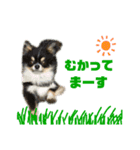 niu＆ulu+愉快な仲間たち（個別スタンプ：11）
