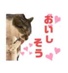 niu＆ulu+愉快な仲間たち（個別スタンプ：14）