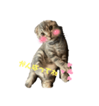 ぽこぽこあいさつすたんぷ（個別スタンプ：4）