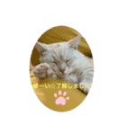お返事編1（個別スタンプ：1）