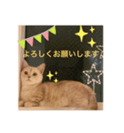 お返事編1（個別スタンプ：4）