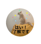 お返事編1（個別スタンプ：7）