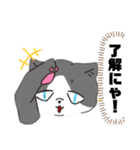 こと猫！？16’s ver（個別スタンプ：3）