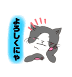 こと猫！？16’s ver（個別スタンプ：4）