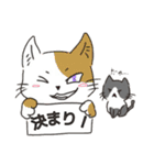 こと猫！？16’s ver（個別スタンプ：8）