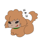 トイプードルのさくらとひなぎく（個別スタンプ：20）
