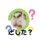 うさカフェりび 全員集合②（個別スタンプ：2）