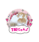 うさカフェりび 全員集合②（個別スタンプ：13）