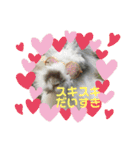 うさカフェりび 全員集合②（個別スタンプ：23）