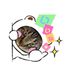うちのにゃんこです.2（個別スタンプ：3）