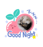うちのにゃんこです.2（個別スタンプ：4）