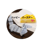 レシート犬(けん)（個別スタンプ：1）