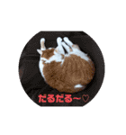 だるだる   ちゃびたんpart2（個別スタンプ：1）