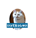 だるだる   ちゃびたんpart2（個別スタンプ：4）