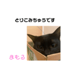 くろねこまもりん5（個別スタンプ：1）