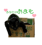 くろねこまもりん5（個別スタンプ：2）