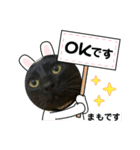 くろねこまもりん5（個別スタンプ：8）