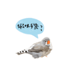 きんか‐ちょう（個別スタンプ：10）